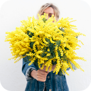 Nőnap Olaszországban: A mimóza illata és a női összefogás ereje